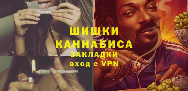 тгк Медвежьегорск