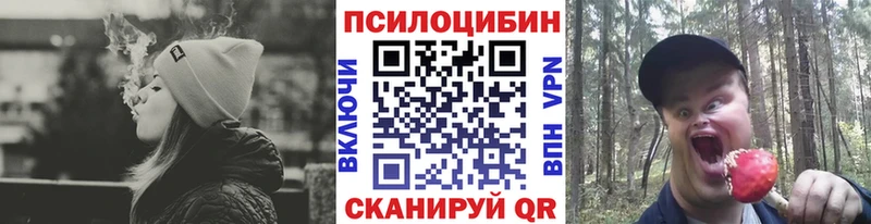 Псилоцибиновые грибы ЛСД  Никольск 